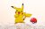 pokemon zapich