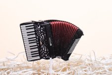 harmonika zapich na tortu