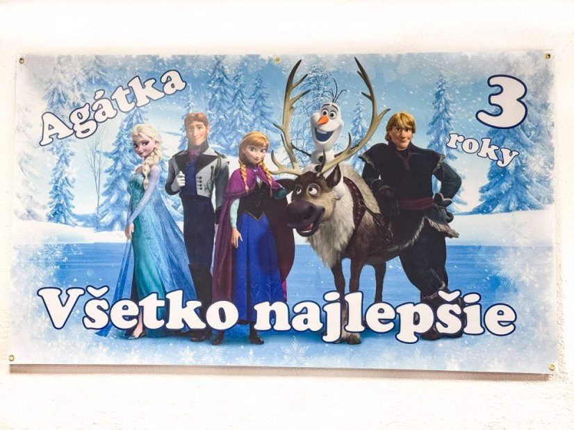 Narodeninový banner Frozen