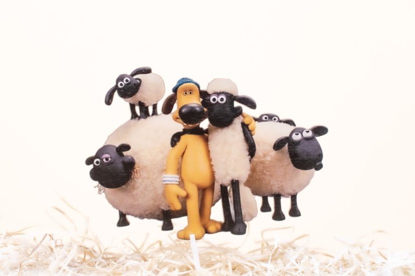 shaun the sheep na tortu shaun the sheep na tortu