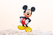 mickey na tortu