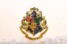logo HP na tortu